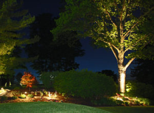 Landscape Lighting | Low Voltage Lighting | Outdoor Lighting